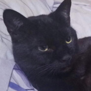 🐊圣三一顶尖爆破手 圣园Mika