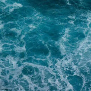 这波啊是肉蛋葱鸡