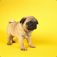 戴着面具跳舞丶