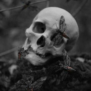 → ꜰᴀᴋᴇ-ᴛᴀxɪ™