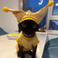 el gato balatro