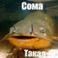 somson fish