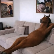 Jakub
