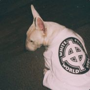 Иди домой пидор