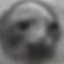 Steve Garbombzo