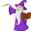 level 40 wizard