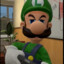 Luigi + Shotgun