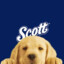 scott