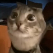 Oxydo avatar