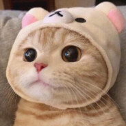 LRPOS073（阿根廷）