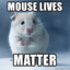 Mouse lives matters