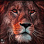 Maments_777