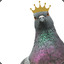 ✪KingPigeon