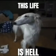 say10 - steam id 76561199234501085