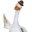dead goose.