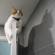 四月廿八