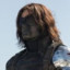 Bucky