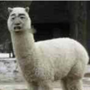 爱看宝宝巴士,爱玩远光84