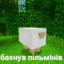 бахнув пельменей