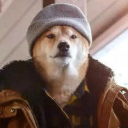 双份蛋煎饼果子