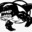 whale