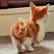 亲妹妹没有干妹妹爽