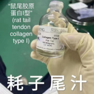 鼠尾胶原蛋白I型