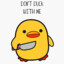 Disgruntled_Duck