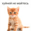 Sunshine_