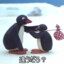 Antarctic_Seiga