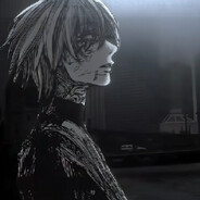 ZNT | シェイネシュ