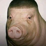 patient turtle=shell