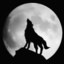 EinsamerWolf