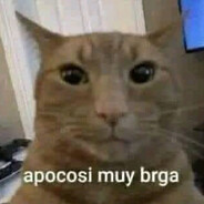 Apoco si