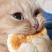 C a p t a i n  M i c h u !