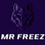 Mr.Freez