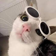We1thy - steam id 76561199804166929