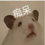 狂舔鼠鼠的隐蒂