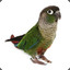 CrazyConure