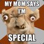 My mommy told me im special