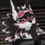 Nyra The Echo Cat