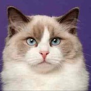 Mau