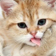 bb - steam id 76561198166830326