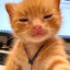 meow