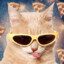 Pizza Cat