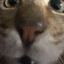 Mouser