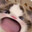 Cheng