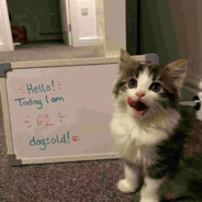 oi小鬼过来蹲下