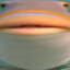 Fish :D