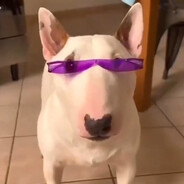 dotox avatar